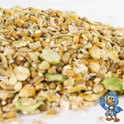 25kg BusyBeaks Duck & Goose Mix - Natural Healthy Diet Feed For Wildlife Bird Food