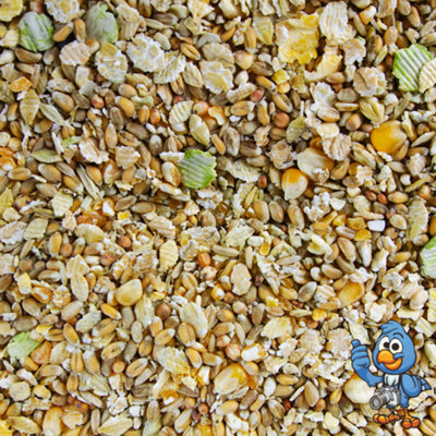 25kg BusyBeaks Duck & Goose Mix - Natural Healthy Diet Feed For Wildlife Bird Food - 3