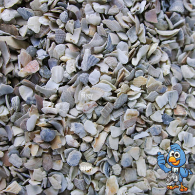 25kg BusyBeaks Hen Sized Oyster Shell - Premium Grade High In Calcium Poultry Grit - 3