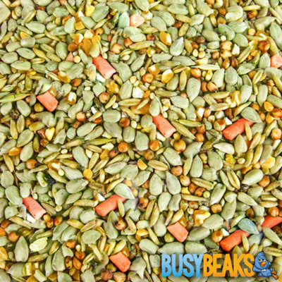 25kg BusyBeaks Premium Wild Bird Food - High Energy Quality Garden Feed Mix