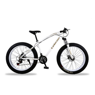 Fat cheap bike lebron