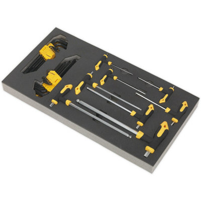 26-Piece T-Handle and Hex Key Tool Set with Organizer Tray for Ultimate Convenience