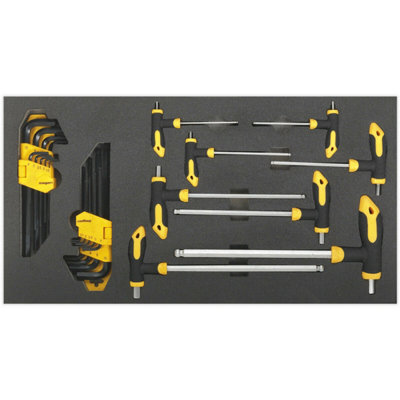 26-Piece T-Handle and Hex Key Tool Set with Organizer Tray for Ultimate Convenience