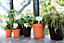 27cm Living Round Decor Recycled Material Indoor Garden Balcony Window Container Holder Plant Flower Organizer Pot, Mild Terra