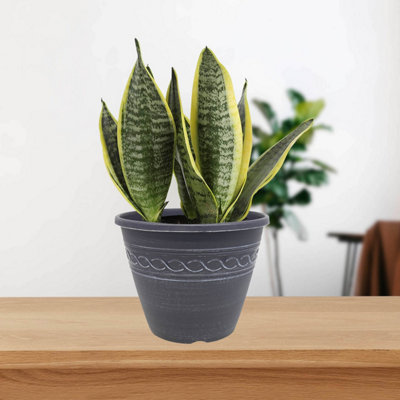 28cm Pot Infinity Round Planter Grey With White Brush Plant Flower ...