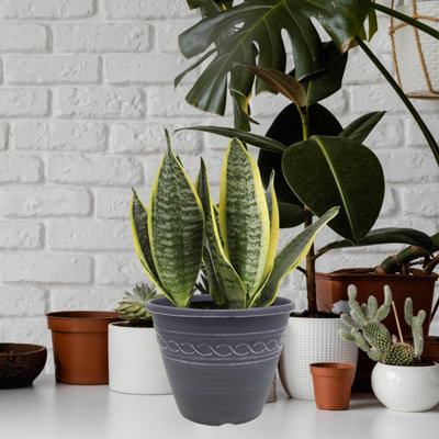 28cm Pot Infinity Round Planter Grey With White Brush Plant Flower ...