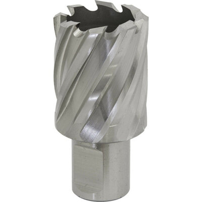 29mm x 25mm Depth Rotabor Cutter - M2 Steel Annular Metal Core Drill 19mm Shank
