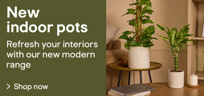 Shop new pots