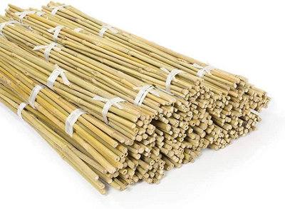 2ft Bamboo Canes 10 Pack Garden Plant Support Sticks Natural Growing ...