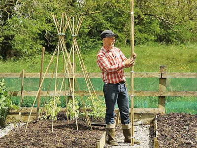 25 Pack 4-Foot Bamboo Garden Stakes - Natural Plant Supports For Tomatoes, Sunflowers & Climbing Plants