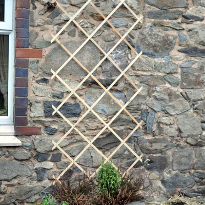 2ft x 6ft Garden Expanding Trellis - Natural Wood