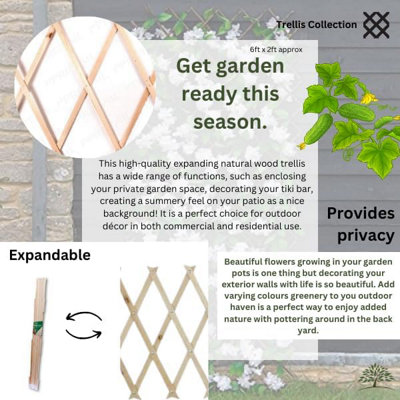 2ft x 6ft Home and Garden Expanding Wooden Garden Trellis - Robust Climbing Plant & Vegetable Support