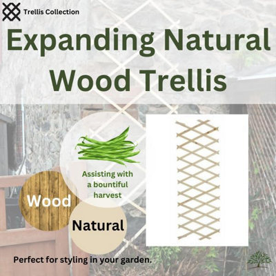 2ft x 6ft Home and Garden Expanding Wooden Garden Trellis - Robust Climbing Plant & Vegetable Support - 4