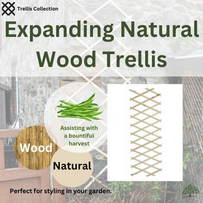 2ft x 6ft Home and Garden Expanding Wooden Garden Trellis - Robust Climbing Plant & Vegetable Support