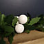 2m (6.5ft) Holly Tinsel Garland Christmas Decorations with White Berries