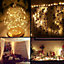2M Long 20 Warm White LED Lights Micro Rice Gold Copper Wire Indoor Battery Operated Firefly String Fairy Lights