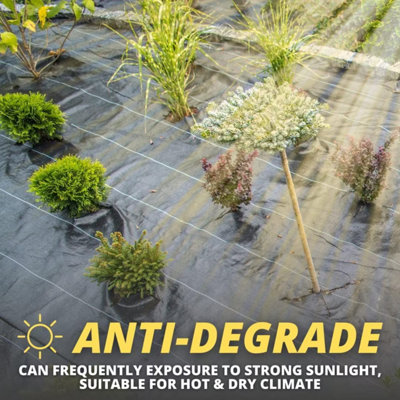 2m x 10m Garden Weed Control Fabric Sheet