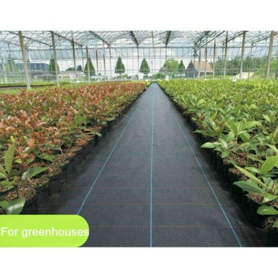 2m x 10m Garden Weed Control Fabric Sheet