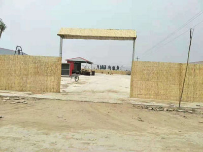 2m x 4m Natural Split Reed Fence Hand-Woven Reed Screening Outdoor ...