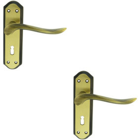 2x PAIR Curved Handle on Sculpted Lock Backplate 180 x 48mm Florentine Bronze