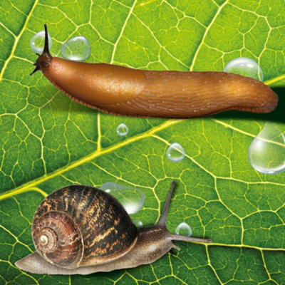 2X PestShield Slug and Snail Killer Mini Blue Pellets