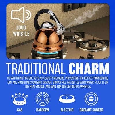 3.5ltr Large Whistling Kettle - Stainless Steel  Copper Gas Electric Hob Wood Stove - 5