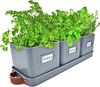 3 Indoor Herb Planters Tray Kitchen Windowsill Plant Pot With Handle Charcoal