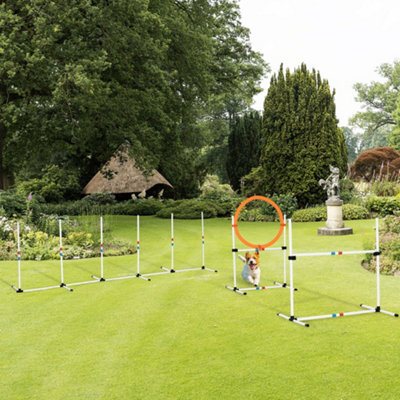 Portable Dog Agility Course With Tunnel, Weave Poles, Jumps
