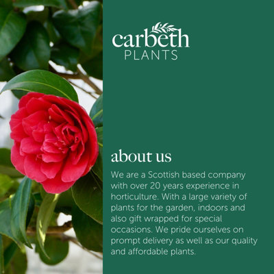 Braccio Monitor Ibergrif Regolabile - Supporto Per Schermi 13-32'', Molla A Gas, VESA 75/100 - Foto 12