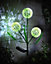 3 x Solar Allium Bloom Stake Light - Solar Powered Outdoor Garden Decor Flower Design Pathway Patio Lighting - 75 x 9cm