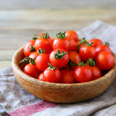 3 x Tomato Plants 'Gardeners Delight'- Growing Plants in 9cm Pots
