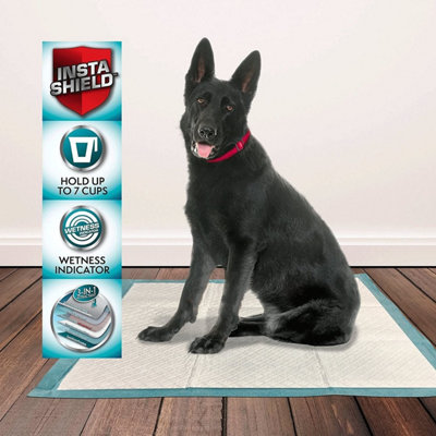 30 Puppy Training 6 Layer Absorbency Premium Absorbent Pads Toilet Training Price Comparisons | Compare The Build