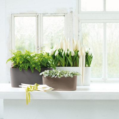 30cm Long Self-watering Plant Pot, Taupe Brown Plastic Windowsill Planter with Water Level Indicator LECHUZA DELTA H13 L30 W11 cm