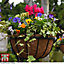 30cm Metal Hanging Basket with Coco Liner and Wall Bracket Garden Set Ideal for trailing plants (4)