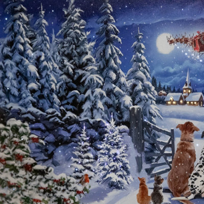 30cm x 60cm Battery Operated Fibre Optic Winter Dogs Watching