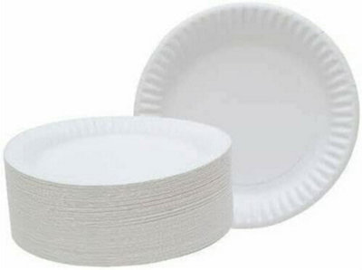 30Pc Disposable Paper Plates Tableware Serve White Catering 9 Inch