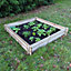 310 Litre Chester Raised Bed - by Woven Wood
