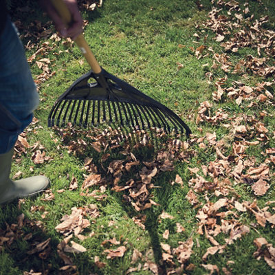 Raking leaves and garden debris