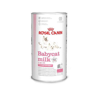Royal Canin First Age Babycat Milk 300G from B&Q