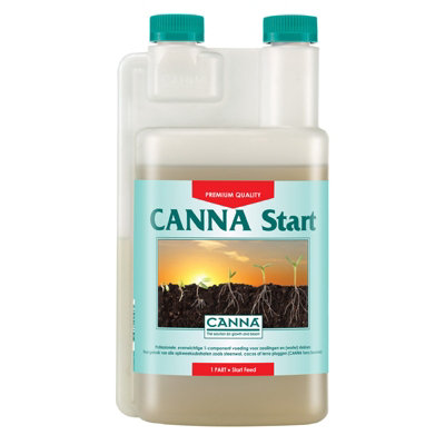 Canna Start Seedlings And Roots 5L from B&Q