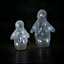 33cm LED Indoor Outdoor Acrylic  Twinkling Penguins Christmas Decoration in Cool White