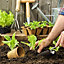 36 Round Peat Pots Biodegradable Seed Plant Pots Seedlings & Cuttings 8cm