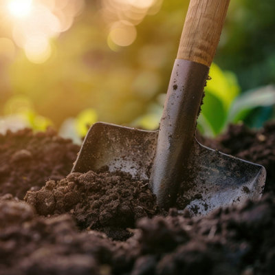 Shop compost and bark