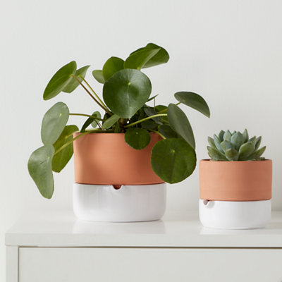 Shop indoor pots