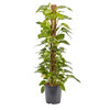 Found it product image.
