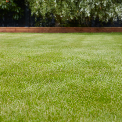 Verve Universal Grass Seeds10Kg 400M² from B&Q
