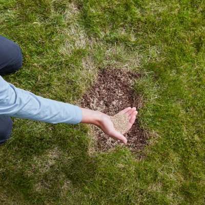 Shop Lawn care