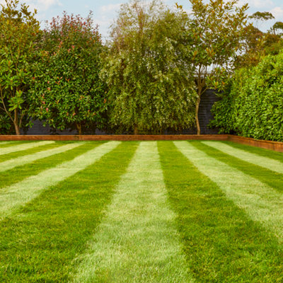 Shop lawn & plant care