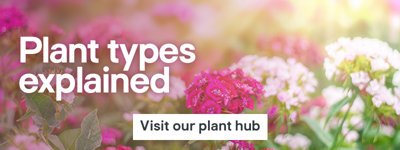 Plant types explained. Visit our plant hub