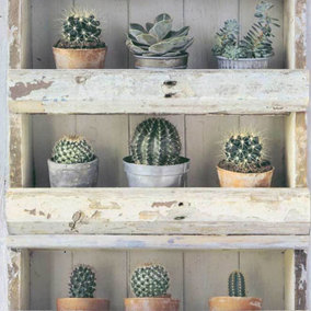 3D Cactus Plant Flower Floral Wood Panel Effect Shelf Wallpaper Luxury Erismann